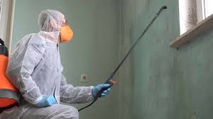 Best Residential Mold Inspection & Testing in Brookhaven, MS