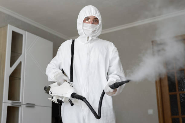 Best Mold Removal for HVAC Installations in Brookhaven, MS